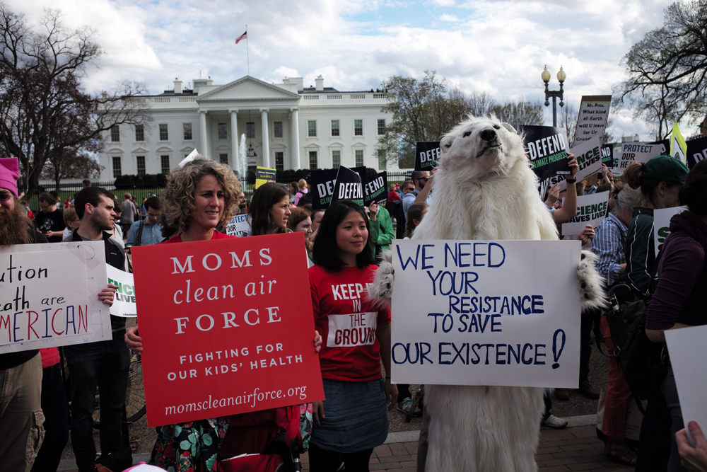 Climate change protest in front of the White House